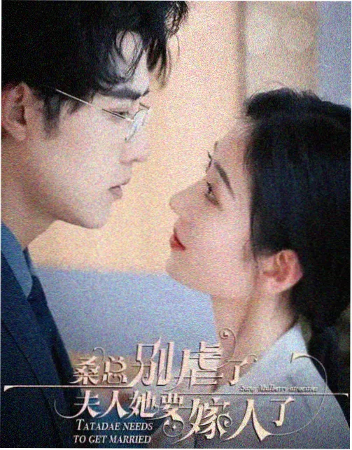 旧城手记 年代剧情剧集海报