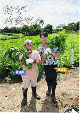 手作人的周末 生活手工综艺海报